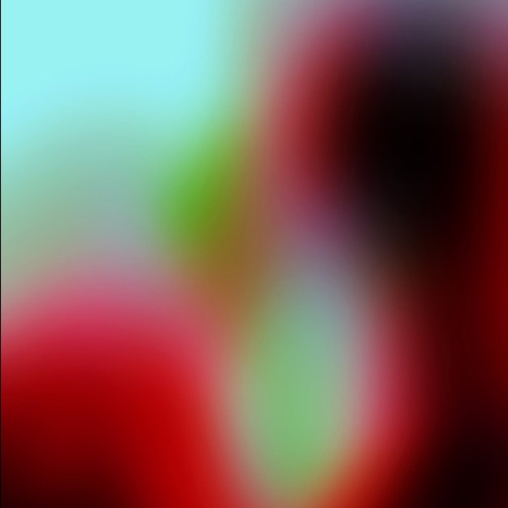 Meet your Posher, Levi